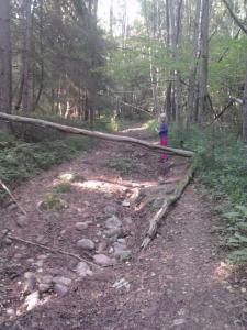 post-11774-0-31176700-1373318182_thumb.j