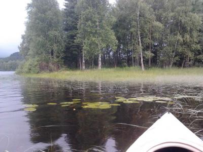 post-11774-0-47954100-1372789660_thumb.j