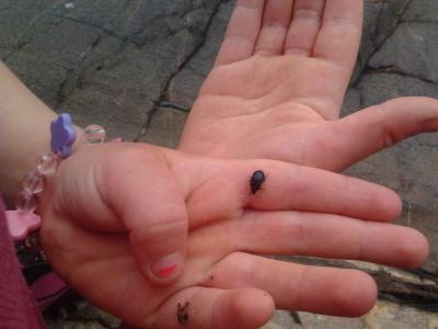 post-11774-0-55231800-1373318276_thumb.j