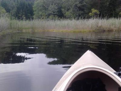 post-11774-0-55751700-1372789570_thumb.j