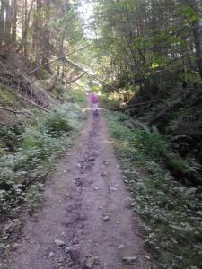 post-11774-0-59806800-1373317875_thumb.j