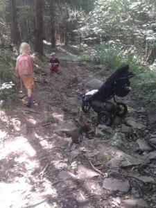 post-11774-0-60229700-1373318457_thumb.j