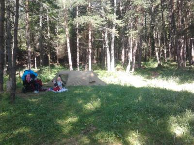 post-11774-0-65430500-1373318418_thumb.j