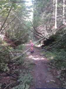 post-11774-0-66294600-1373318538_thumb.j