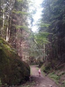 post-11774-0-67980800-1373318498_thumb.j