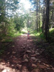 post-11774-0-71178500-1373318582_thumb.j