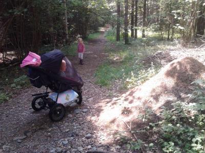 post-11774-0-89086000-1373317918_thumb.j