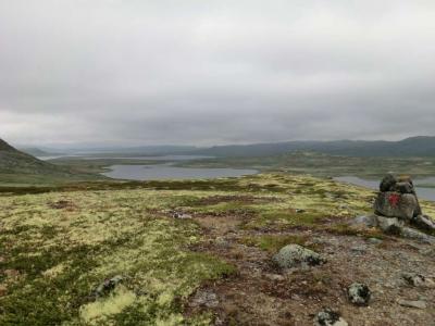 post-11911-0-95219500-1373997928_thumb.j