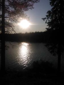 post-12730-0-23799400-1373402917_thumb.j