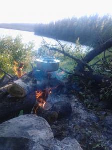 post-12730-0-87012400-1373402885_thumb.j