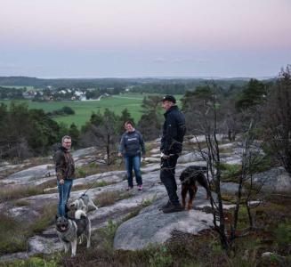 post-6532-0-28617700-1372812196_thumb.jp