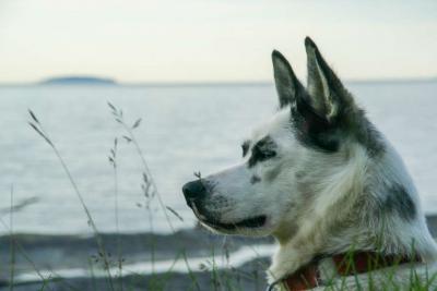 post-6611-0-73931000-1372809019_thumb.jp