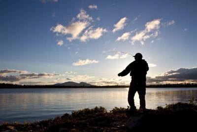 post-7687-0-75478500-1372781763_thumb.jp