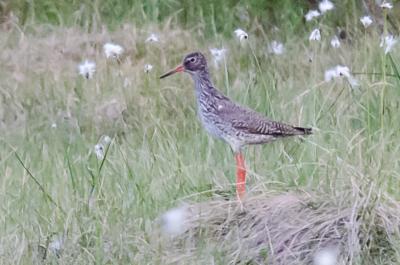 post-8581-0-12149900-1374393832_thumb.jp