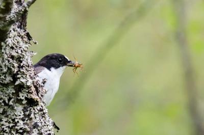 post-8581-0-61803600-1374393770_thumb.jp