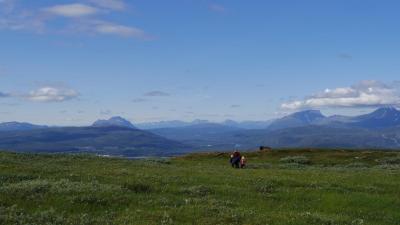 post-10401-0-49322800-1406657755_thumb.j