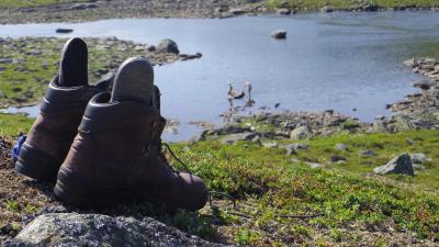 post-10401-0-55862400-1406310778_thumb.j