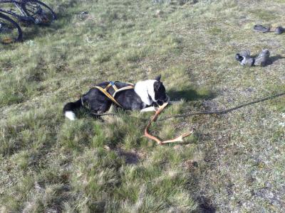 post-1047-0-21222400-1406757865_thumb.jp