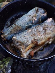 post-11141-0-11435100-1406654482_thumb.j