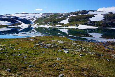 post-11141-0-12563000-1406654207_thumb.j