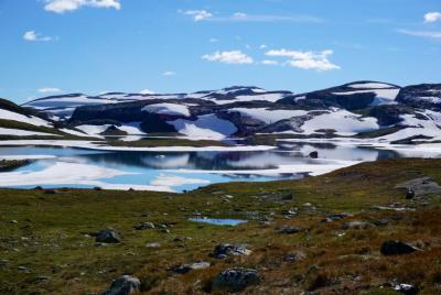 post-11141-0-16822200-1406654246_thumb.j