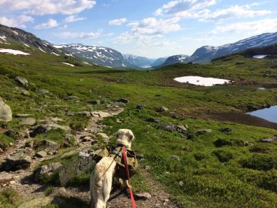 post-11141-0-86771800-1406654121_thumb.j