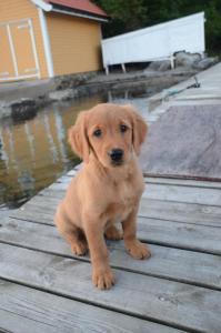 post-11749-0-49843100-1406578132_thumb.j