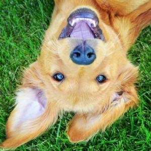 post-11749-0-84108200-1406577726_thumb.j