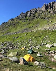 post-12101-0-74757500-1406022904_thumb.j