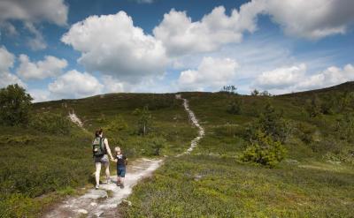 post-12278-0-27426300-1405334011_thumb.j