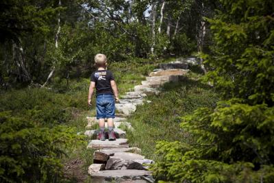 post-12278-0-28326900-1405334006_thumb.j