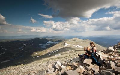 post-12278-0-71733000-1405331375_thumb.j