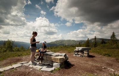 post-12278-0-98660300-1405334008_thumb.j