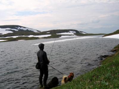 post-12337-0-04700300-1404886933_thumb.j