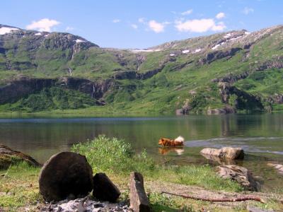 post-12337-0-36485800-1405966092_thumb.j