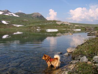 post-12337-0-42489000-1404887632_thumb.j