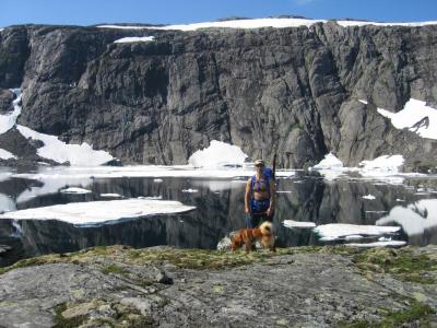 post-12337-0-65615300-1405965674_thumb.j