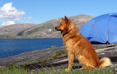 post-12337-0-67456700-1405965740_thumb.j