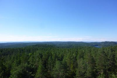 post-12580-0-35041800-1405206091_thumb.j