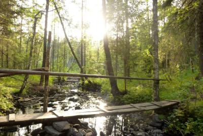 post-12580-0-38094000-1405206077_thumb.j