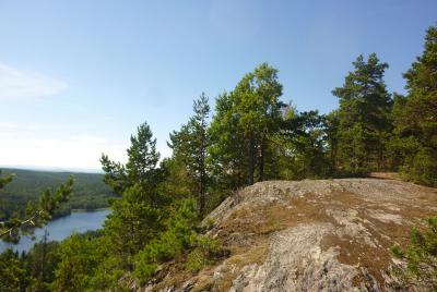 post-12580-0-50545800-1405206083_thumb.j