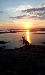 post-13449-0-92046300-1404632332_thumb.j