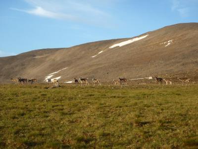 post-2749-0-04385000-1406455681_thumb.jp