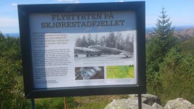 post-4220-0-11064300-1406009672_thumb.jp