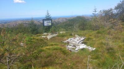 post-4220-0-95848800-1406009646_thumb.jp