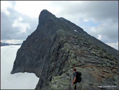 post-4444-0-18973500-1405269374_thumb.jp