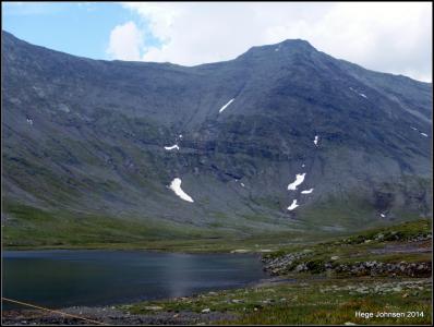 post-4444-0-20699900-1405269348_thumb.jp