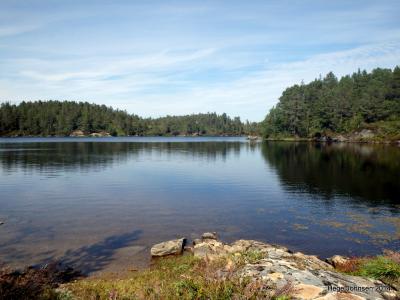 post-4444-0-58745300-1406658343_thumb.jp