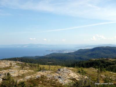 post-4444-0-78902900-1406658332_thumb.jp