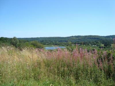 post-5095-0-13397500-1406473421_thumb.jp